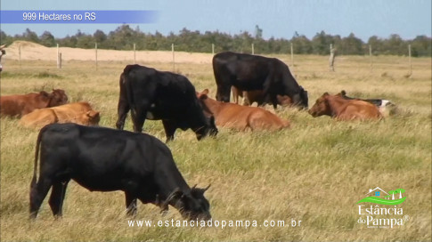 12. Levanta Velho.00_02_55_20.Quadro036_5c1e0a3d8bfd1382597c435ef03e1cc61a720710.jpg